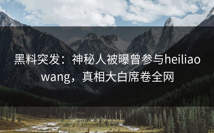 黑料突发：神秘人被曝曾参与heiliaowang，真相大白席卷全网  第1张