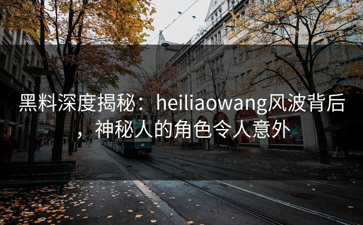 黑料深度揭秘：heiliaowang风波背后，神秘人的角色令人意外  第1张